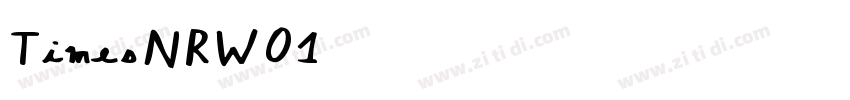 TimesNRW01 字体转换